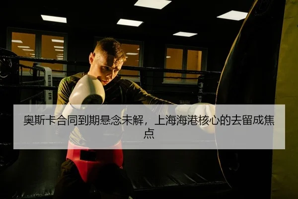 ao-si-ka-he-tong-dao-qi-xuan-nian-wei-jie-shang-hai-hai-gang-he-xin-de-qu-liu-cheng-jiao-dian-2-995.jpg